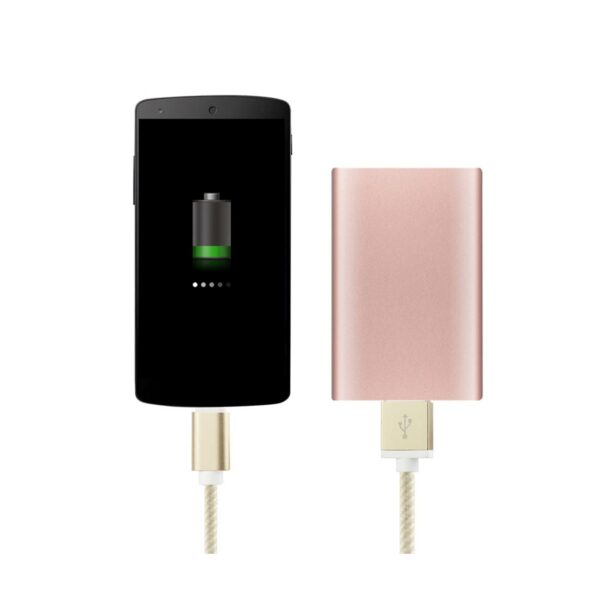 REIKO 3.3FT NYLON BRAIDED MICRO USB 2.0 CHARGING & SYNC DATA CABLE FOR TYPE C DEVICE IN GOLD - Image 2