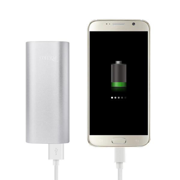 REIKO 2A5V 4800MAH UNIVERSAL POWER BANK WITH MICRO CABLE IN SILVER - Image 3